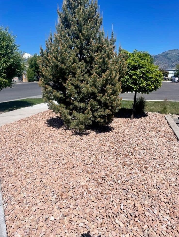 Project Xeriscaping Transformation with Natural Rock Features image