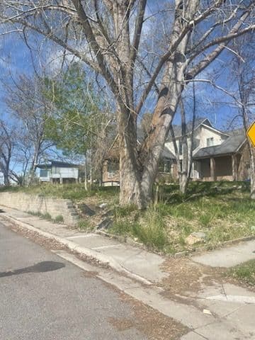 Efficient Yard Clean-Up in Scenic Neighborhood image