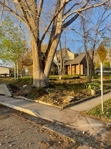 Gallery photos for Efficient Yard Clean-Up in Scenic Neighborhood: Image #1