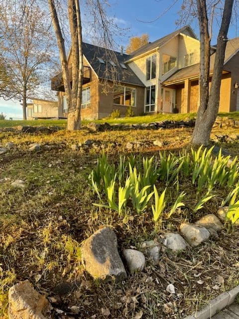 Gallery photos for Efficient Yard Clean-Up in Scenic Neighborhood: Image #2